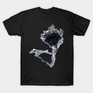 Penicillium mold under the microscope T-Shirt